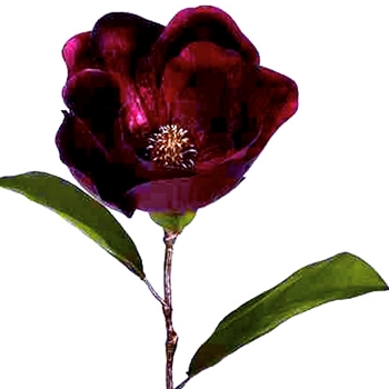 Magnolia - Bloom Velvet 29in Burgandy - XFS344-BU
