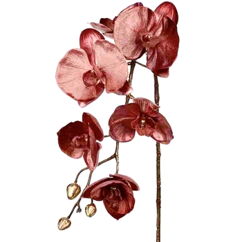 Orchid - Phalaenopsis Velvet Copper Mauve 31in - XFS343-MV