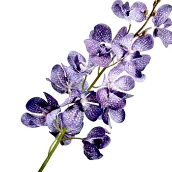 Orchid - Vanda Periwinkle  Blue 28in FSP238-LV  Real Touch