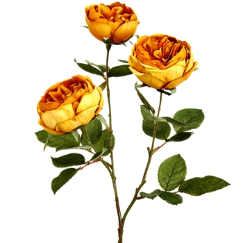 Rose - Cabbage 3 Blooms Ochre 27in - FSR103-MD