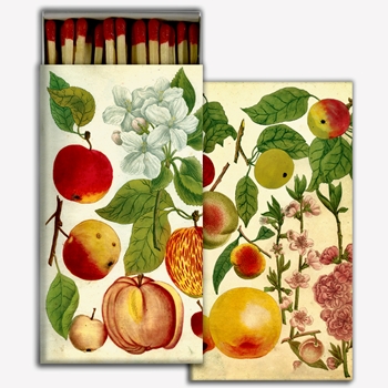 Matches - John Derian Orchard Apples - 4x2in Box50