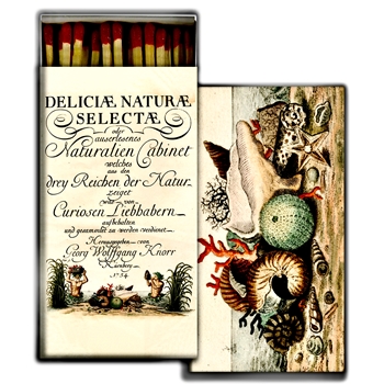 Matches - John Derian Sea Shells 1754 - 4x2in Box50