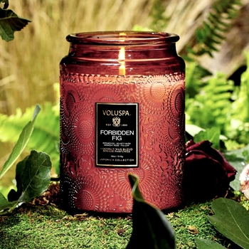 Voluspa - Japonica - Forbidden Fig Glass Jar Candle 18oz 100HR