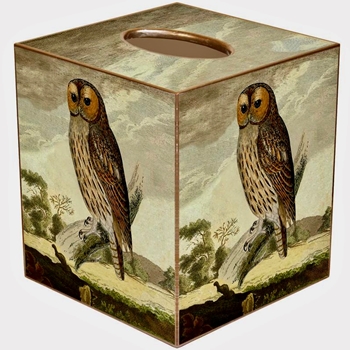 Tissue Box Cover 5in Cube - Decoupage Mache Audubon Owl