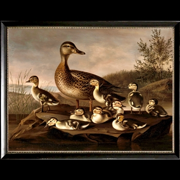 22W/18H Framed Glass Print  - Vintage Duck Family