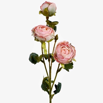 Ranunculus - Vintage Dried Pink/Celery 20in - FSR696-PK/TT