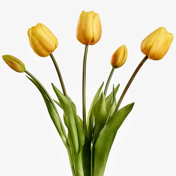 Tulip - Bundle X5 Yellow RT 18in - FBQ438-YE