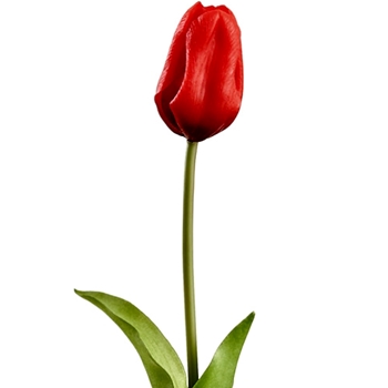 Tulip - Dutch - Red 19in RT - FST433-RE