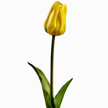 Tulip - Dutch - Yellow 19in RT - FST433-YE