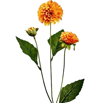 Dahlia Pom - Saffron  2Heads, 1 Bud 20in FSD273-YE/OR