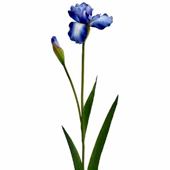 Iris -  Real Touch Blue 29in  FSI632-BL