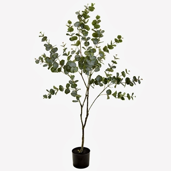 Tree - Eucalyptus  5FT Green   LTE434-GR