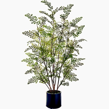 Fern - Maidenhair Plant 49IN Green - Black Pot- LFQ497-GR