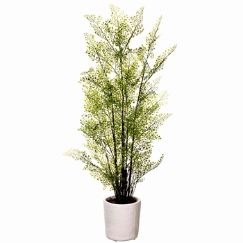 Fern - Maidenhair Plant White Pot 36in LQF616-GR