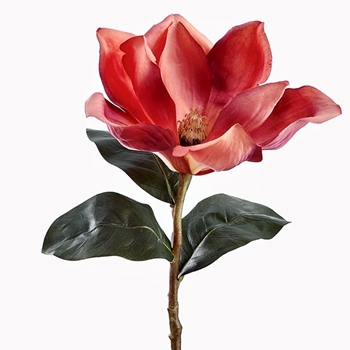 Magnolia - Coral 27in FSM290-RU