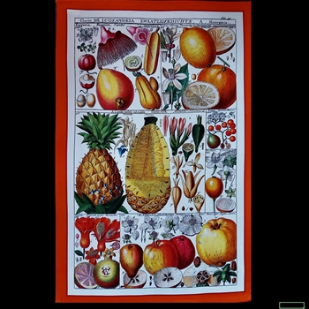 Tea Towel - Wanda Coyne 28x18in Antique Fruit Plates