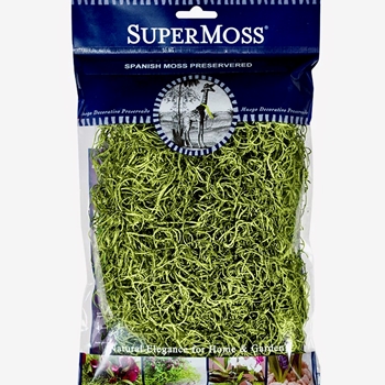 Moss Preserved - Spanish Basil 2OZ 6X8IN BAG