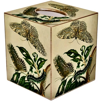 Tissue Box Cover 5in Cube - Decoupage Mache Butterflies & Caterpillars