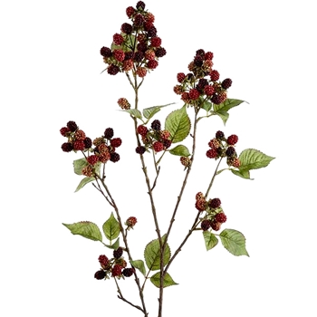 Berry - Raspberry Branch Burgundy 42in  VSR065-MV/BU