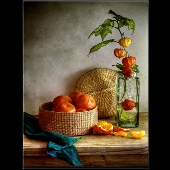 30W/40H Giclee Stretched Canvas - Clementines