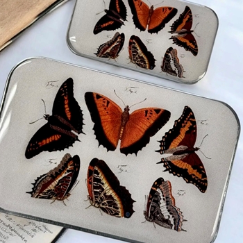 Butterflies Decoupaged Tin - 3.5x2.3x.5in Slide Open
