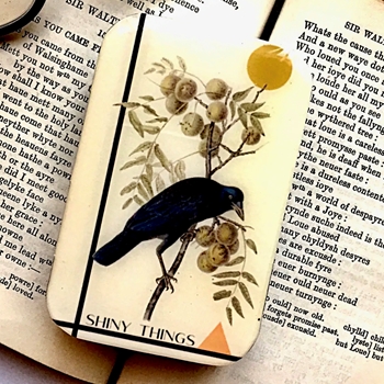 Crow Tiny Things Decoupaged Tin - 3.5x2.3x.5in Slide Open