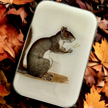 Yarn Squirrel Decoupaged Tin - 3.5x2.3x.5in Slide Open