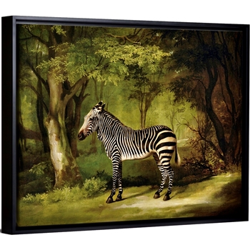 49W/39H Framed Stretched Canvas - A Zebra - George Stubbs