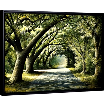 61W/45H Framed Stretched Canvas - Favourite Path - Bruce Nawrocke