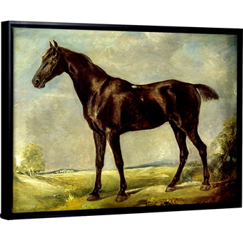 61W/46H Framed Stretched Canvas - Black Riding Horse - John Constable