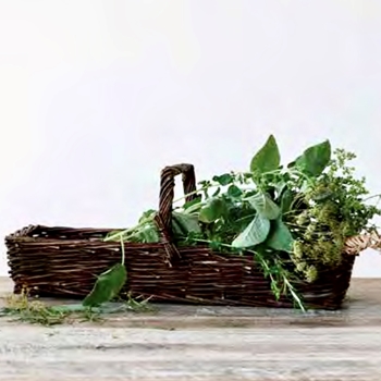 Basket - Trug Natural Dark Reed 20x8x8H