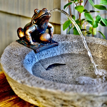 Bowl - Fountain  Frog 17x15x9in With Pump