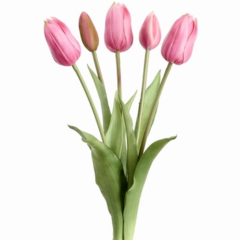 Tulip - Bundle X5 Berry Pink 16in - FBQ775-BB Real Touch