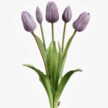 Tulip - Bundle X5 Violet 16in - FBQ755-LV Real Touch