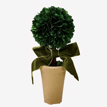 Boxwood Preserved - Topiary Globe  With Bow