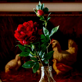 Peony - Estate Garden Red 25in