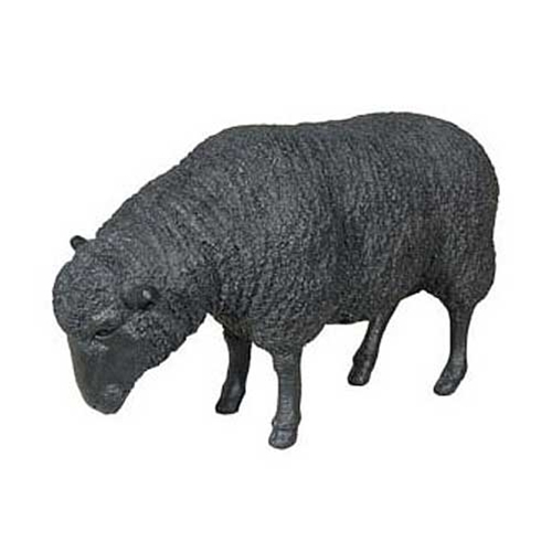 Chintz & Company - Decorative Furnishings - Black Sheep 54W