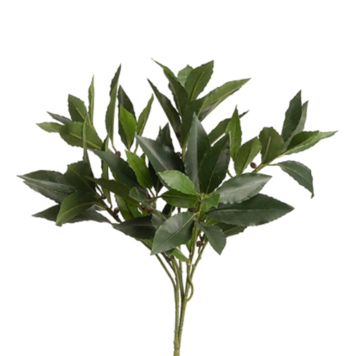 Chintz & Company - Decorative Furnishings - EVS - Bay Leaf