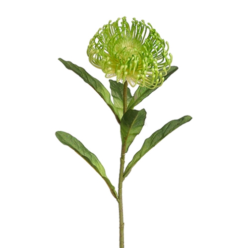 Chintz & Company - Decorative Furnishings - Protea - Blossom