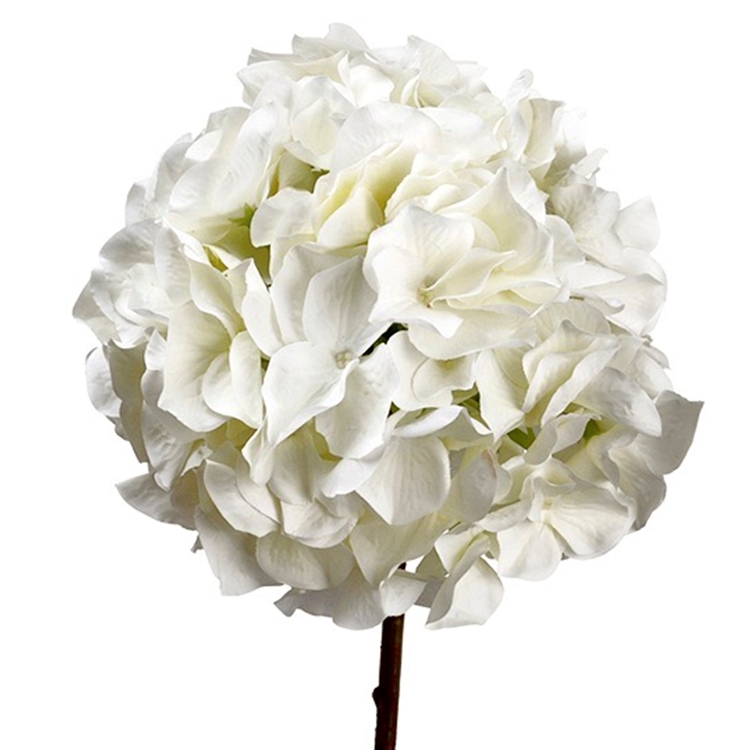 Chintz & Company - Decorative Furnishings - Hydrangea - White 21in