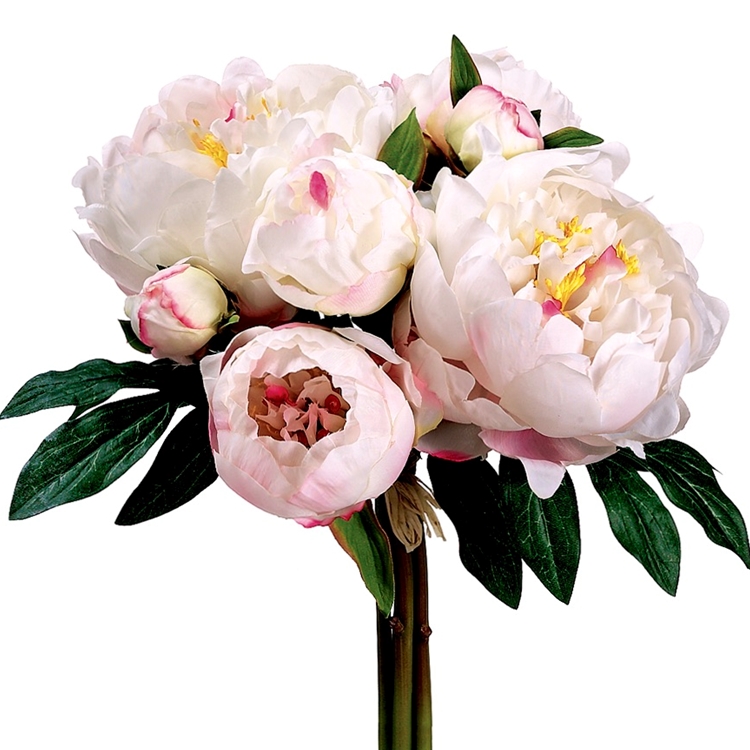 Chintz & Company - Decorative Furnishings - Peony - Bouquet