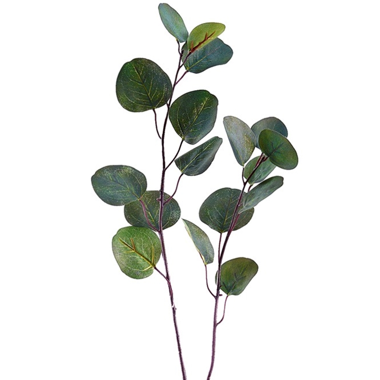 Eucalyptus - Leaf Branch Dark Green 31in - PSE418-GR