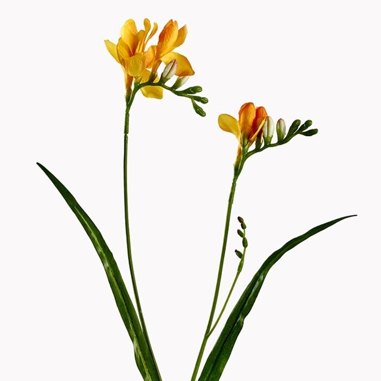 フリージア Ｆ3 Chintz & Company - Decorative Furnishings - Freesia - Yellow 2