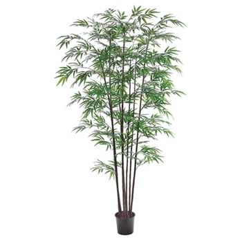 Bamboo Tree - Black 7ft 8 Stalk - LTB457-GR