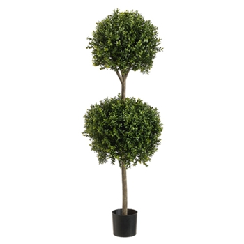 Boxwood - Topiary/2 Ball 4ft - LPB234-GR/TT