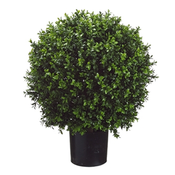 Boxwood Leaf Globe Green Topiary/Potted 26H