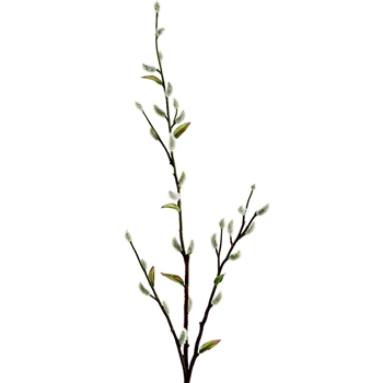Pussy Willow Natural Branch 3 Stem 36in - GTW176-GY