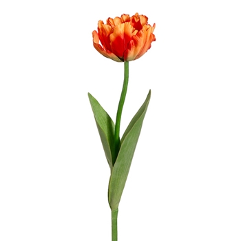 Tulip - Parrot Orange 24in - FST315-OR