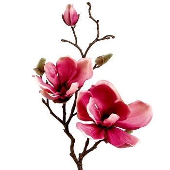Magnolia - Fuchsia Pink 19in - FSM335-RO