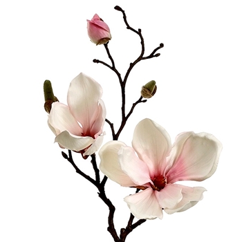 Magnolia - Petal Pink 19in - FSM335-PK/BS